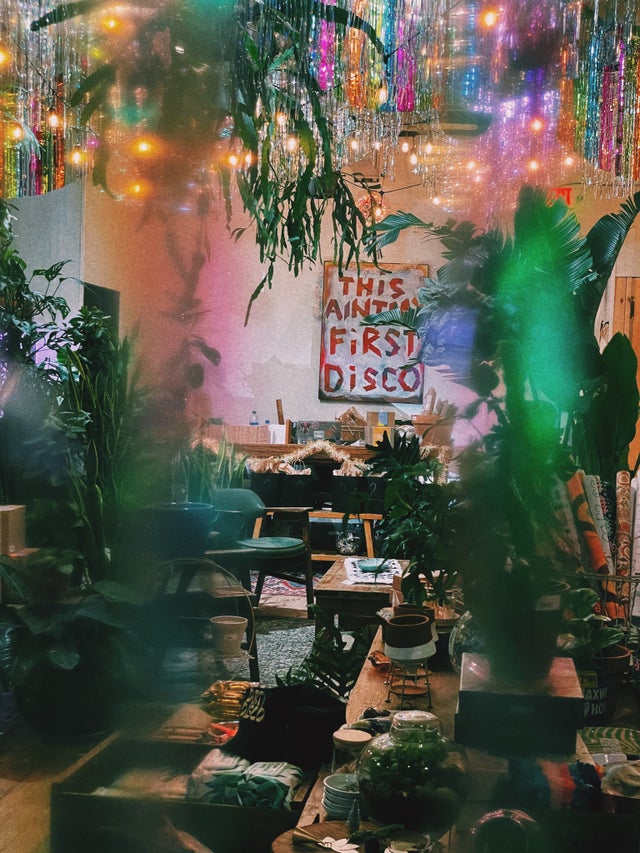 Sale Grounded Plant Company