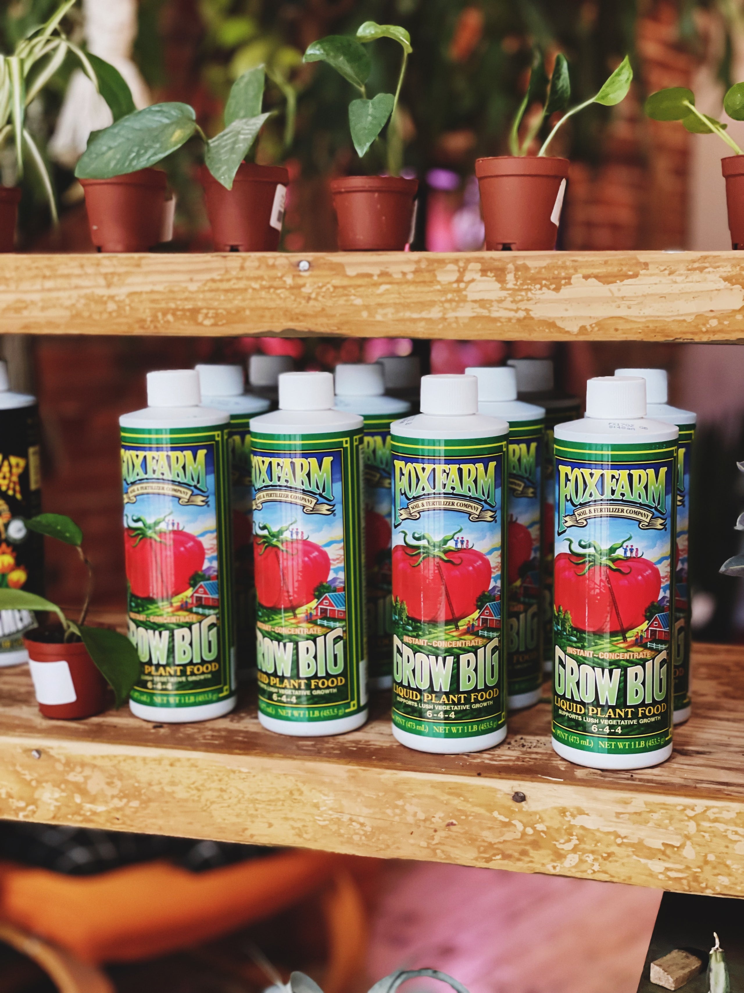 Fox Farm Fertilizer Grounded Plant Company